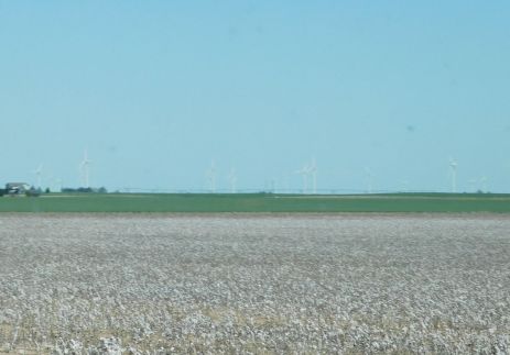 Cotton grows in Kansas.
